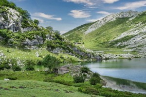 19 września Dzień dzikiej fauny, flory i naturalnych siedlisk